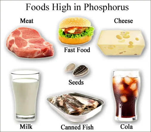 Phosphorus-Foods