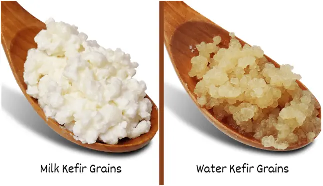 kefir-food