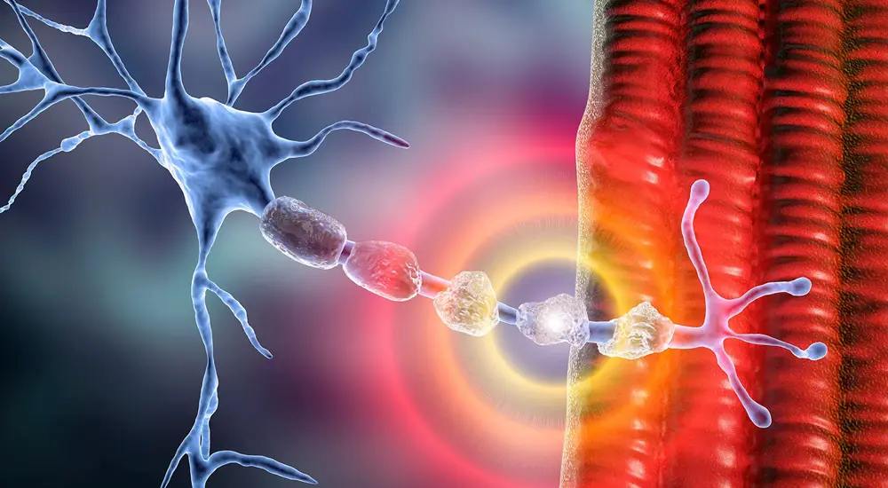 multiple-sclerosis-ms